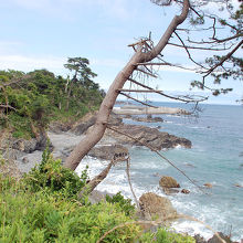 気仙沼市本吉町小金沢の海岸