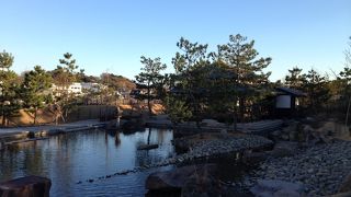 新しくまた広い公園です