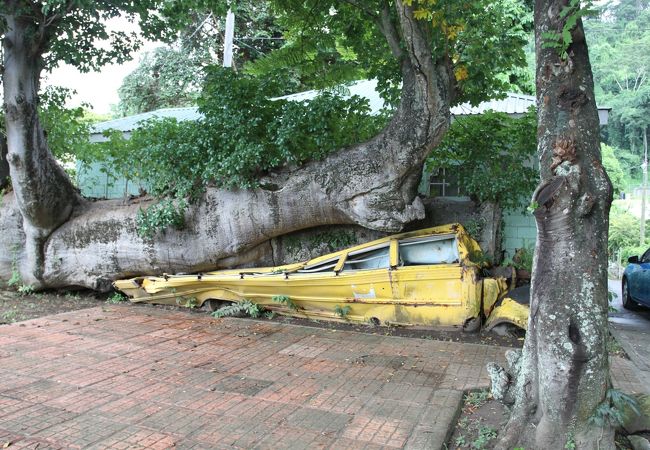 ドミニカ ボタニック ガーデンズ