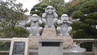 見て聞いて言って。