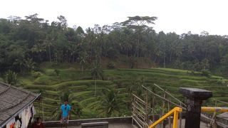 綺麗に整備された棚田