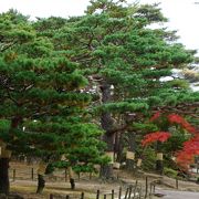 純粋な日本庭園風の公園