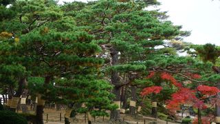 純粋な日本庭園風の公園
