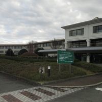 プール併設ホテル等