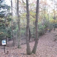 敷地広く、紅葉時期には散策コースが整備されてゆっくり過ごす。