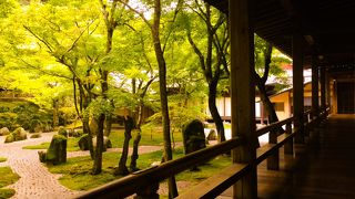 〈太宰府でイチオシ！〉苔の庭が素晴らしい！四季が楽しめる！