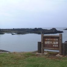 宿根木（しゅくねぎ）で撮影