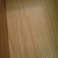 引き出しの中。ペットの蟻君。