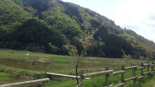 わかりづらい。そして見られなかった…