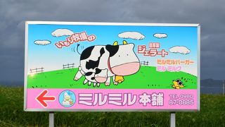 自家製ジェラート！