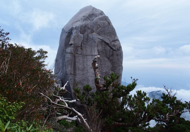 太忠岳 クチコミ アクセス 営業時間 屋久島 フォートラベル