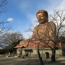 近くで見ると迫力感じます