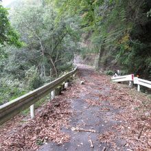大文字端・・・枯葉の飾り