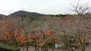 残念でした・・・