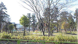 冬場は静かです