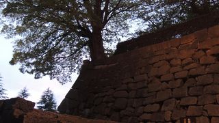 石垣は歴史を感じる　現在は県庁がある場所です