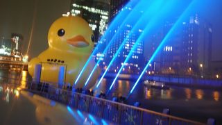 ラバーダックがお出ましです。