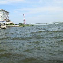 常陸利根川の浪間をさっぱ舟は揺れながら進む。