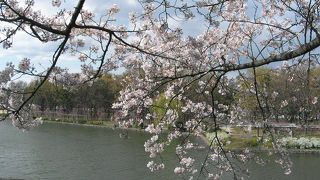 桜の季節がオススメ
