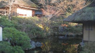 日本庭園が鑑賞できる