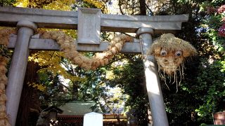 大蛇の鳥居がかわいい。