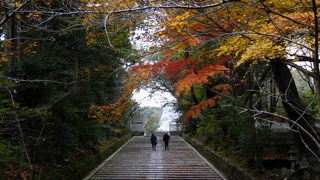 きょうと　長岡京のもみじの名所、光明寺（こうみょうじ）　2014秋