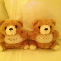 ウェルカムベア