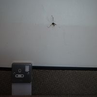 壁にこんな穴が開いてました。なんで？