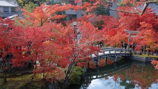 紅葉は拝観料払う価値あります