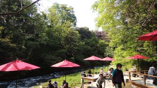 新緑がまぶしい　鶴仙峡遊歩道