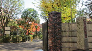 紅葉が見られました。