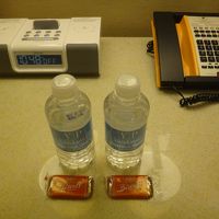 ミネラルウォーターは1日1人1本だけど、ジムやプールにある。