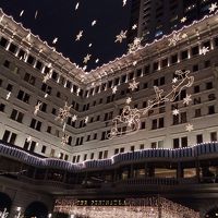 大人のイルミネーションという感じです