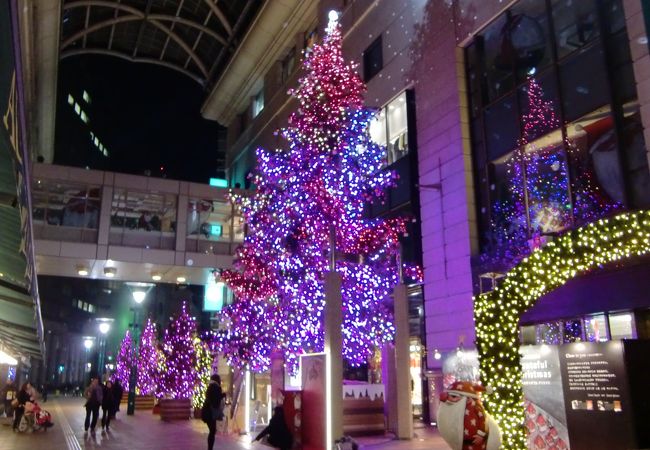 美しいクリスマスの風景です