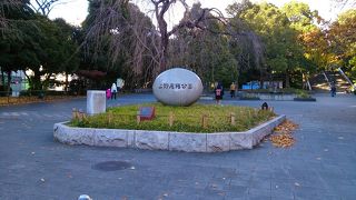 想像以上に広い公園