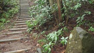 上りもきついが、下りはもっときつい。