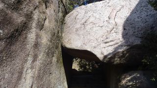 山頂までの通り道