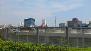 スカイツリー見えました。