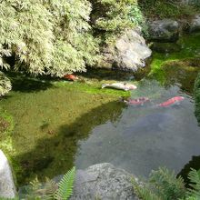 弘法の清水