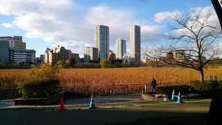 都会のオアシス