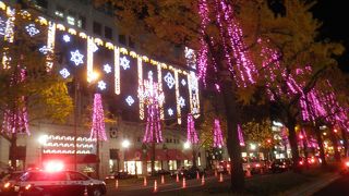 紫の傘のイルミネーション