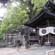 尾道の巨大クスノキが象徴的な最古の神社
