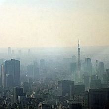 スカイツリーから眺めた景色