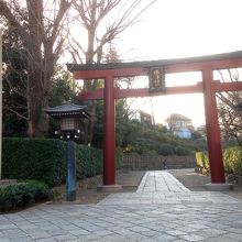 表参道の鳥居