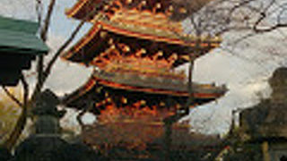 東照宮の参道から見えます