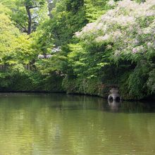 法成就池という名前