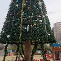 巨大なクリスマスツリー