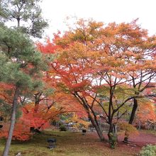 色のバランスがいい