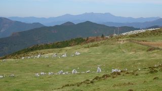 大自然を満喫『四国カルスト』