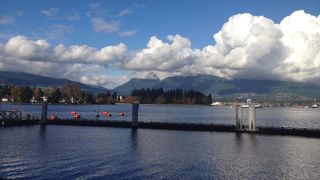 サイクリング！